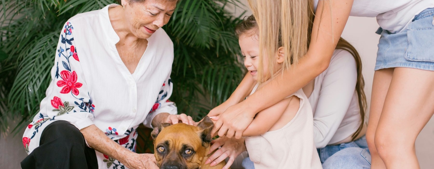 a person and a child petting a dog